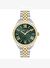 Cerruti 1881 CIWLH2229606 Kol Saati