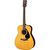 Yamaha F310 Akustik Gitar (Taşıma Kılıfı Hediyeli)