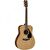 Yamaha FX310A Elektro Akustik Gitar (Gloss)