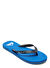 QUIKSILVER Mavi Molokaı Core Erkek Plaj Terliği Aqyl101325
