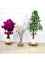 By Pallette Arneb Ahşap Üçlü Saksı Altlığı