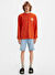 Levis Açık Mavi Erkek  Regular Fit Denim Şort 36512-0186_501 ORIGINAL SHORTS TO T