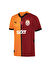 Puma Erkek 2024/2025 İç Saha Parçalı Galatasaray Forma 77965001  GSK Home Jersey wo