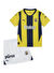 Puma Düz Sarı Erkek Eşofman Takımı 77536501-FSK Home Minikit w/o Socks