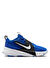 Nike Mavi Erkek Çocuk Basketbol Ayakkabısı HF6279-400-TEAM HUSTLE D 12 (GS)