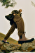 Barbour Storm Chelsea Yağmur Botu OL92 Olive
