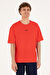 U.S. Polo Assn. Erkek Kırmızı Tişört 50287083-VR030
