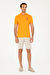 U.S. Polo Assn. Erkek Taş Şort / Bermuda 50289423-VR049