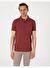 Nar Slim Fit Örme Dokulu Polo Yaka Tişört