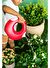 Quut Cana Çift Taraflı Çocuk Sulama Kabı  / Large / Cherry