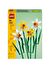 LEGO Seasonal 40747 Daffodils