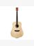 Sx SD104 Akustik Gitar