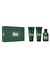 DSQUARED2 Green Wood Erkek Parfüm Seti (100 ml edt + 100 ml duş jeli + 100 ml traş sonrası balmı)