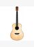 Washburn Bella Tono Elegante S24S Akustik Gitar