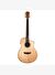 Washburn BTSC56SCE Bella Tono Allure SC56SCE Akustik Gitar