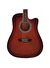 Washburn WA90CERDB Elektro Akustik Gitar