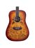 Washburn Deep Forest Burl Amber Fade Akustik Gitar