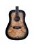 Washburn Deep Forest Burl Black Fade Akustik Gitar