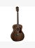 Washburn HG12S Heritage 10 Serisi Akustik Gitar