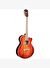 Washburn EA55G Festival Elektro Akustik Gitar
