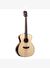 Washburn Comfort Serisi WCG10SENS Mat Elektro Akustik Gitar