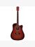 Washburn WA90CRDB Akustik Gitar