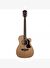 Washburn Heritage 10 Serisi HF11SCE Elektro Akustik Gitar