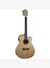 Washburn AG40CE Apprentice Serisi Elektro Akustik Gitar