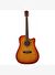 Washburn WA90CTS Akustik Gitar