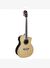 Washburn AG70CE Apprentice Elektro Akustik Gitar