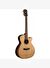 Washburn Comfort Serisi WCG20SCE  Elektro Akustik Gitar