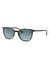 RAY-BAN 2197 1356/3M 50-19 Unisex GÜNEŞ GÖZLÜĞÜ