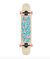 LANDYACHTZ TONY DANZA LOGO COMPLETE - 122CP-DNCSTR40LG  Kaykay