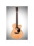 Martin 10OMC16E - Elektro Akustik Gitar