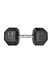 Rebuwo Hex Dambıl Kauçuk Altıgen Dambıl Hex Dumbbell 30 KG 1 Adet