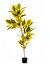 The Mia Yapay Ficus Altissima Ağacı Sarı Yeşil 170 cm