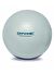 Dynamıc GYMBall Pilates Topu 65 cm Pompa Gri