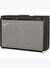 Fender Champion 100 Elektro Gitar Amfisi