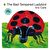 The Bad-Tempered Ladybird