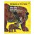 Baby Bear Baby Bear What Do You See (Paperback)
