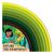 Explore The Rainforest - Board Book