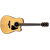 IBANEZ AW3000CE-NT
