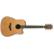 IBANEZ AW3050CE-LG