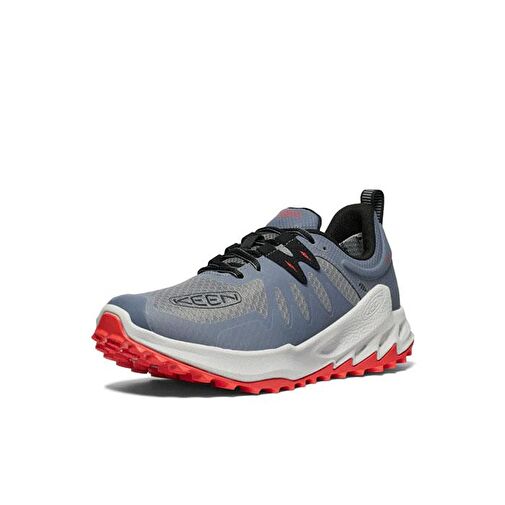 ZIONIC WP - Görsel 4