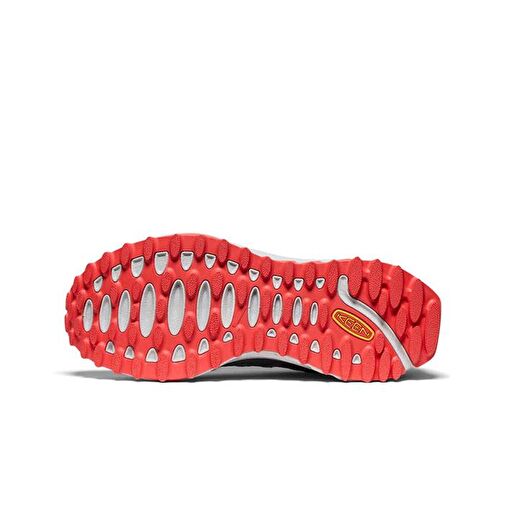 ZIONIC WP - Görsel 7