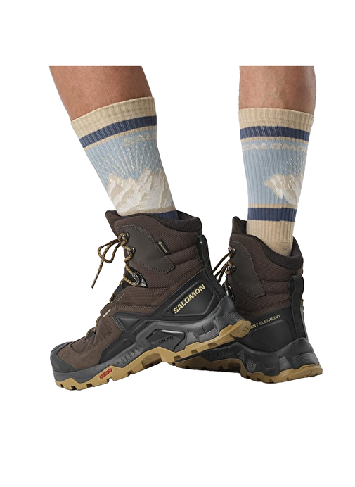 Salomon Quest Element Gore-Tex Erkek Outdoor Bot - Görsel 7