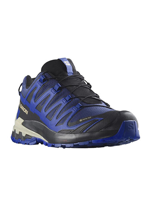 Salomon XA Pro 3D V9 Gore-Tex Erkek Outdoor Ayakkabı - Görsel 3