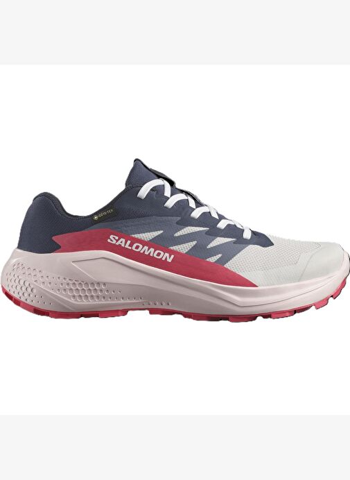 Salomon Alphaglıde Gore-Tex Kadın Patika Koşusu Ayakkabısı L47802300 - Görsel 2