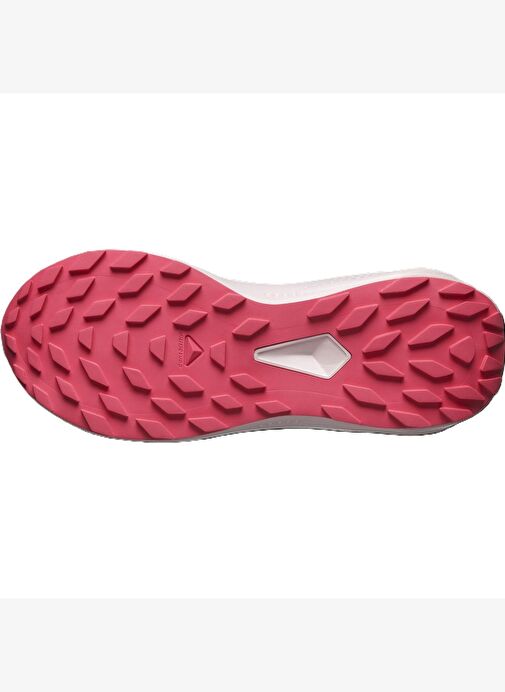 Salomon Alphaglıde Gore-Tex Kadın Patika Koşusu Ayakkabısı L47802300 - Görsel 8