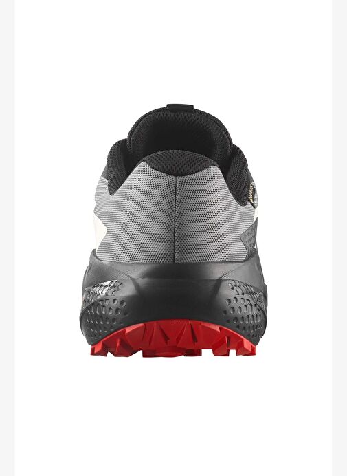 Salomon Alphaglıde Gore-Tex Erkek Patika Koşusu Ayakkabısı - Görsel 5